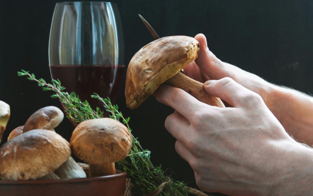 person-holding-a-fresh-mushrooms