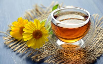 Herbal Teas: History, Benefits, and Delightful Discoveries